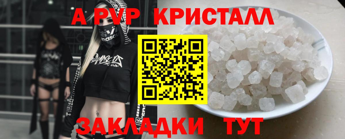 Alfa_PVP СК КРИС Пенза