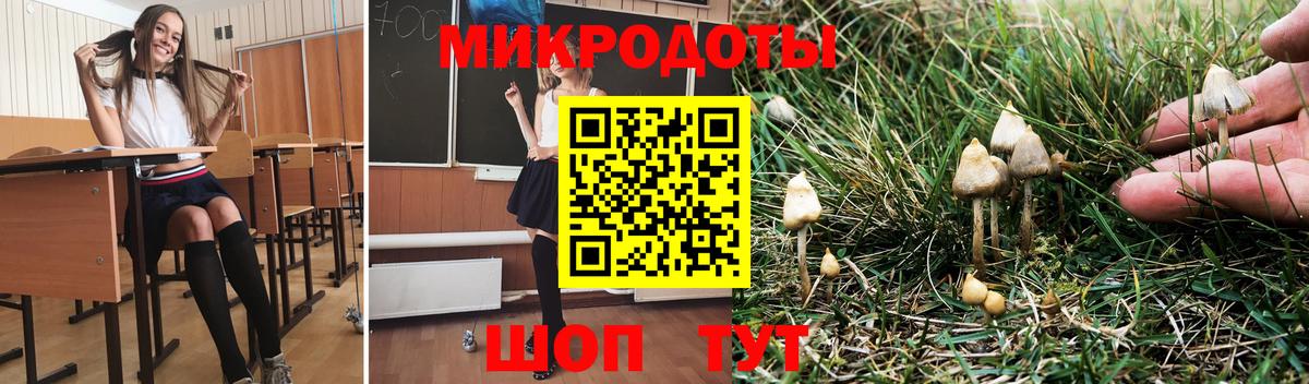 Пенза  продажа наркотиков  Вход с VPN  Галлюциногенные грибы прущие грибы 