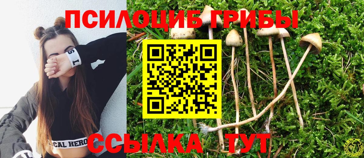 Галлюциногенные грибы MAGIC MUSHROOMS Пенза